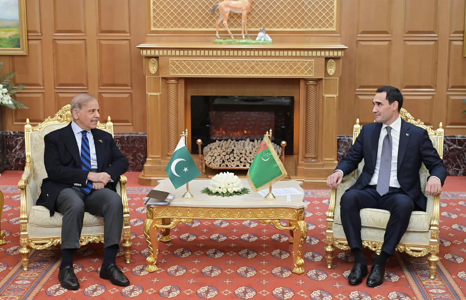 Pakistan PM to push energy cooperation, connectivity goals in Ashgabat talks